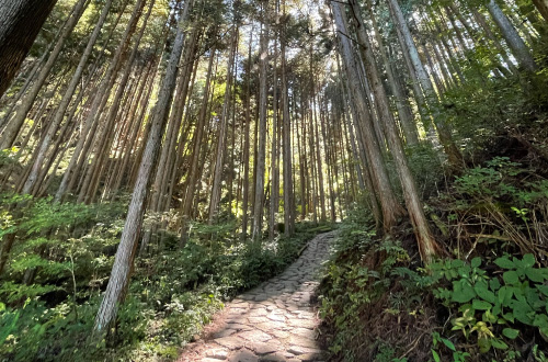 Nakasendo-Walk-Tsumago-Nagiso