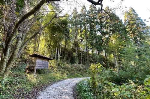 nakasendo-trail-walk-magome-to-tsumago