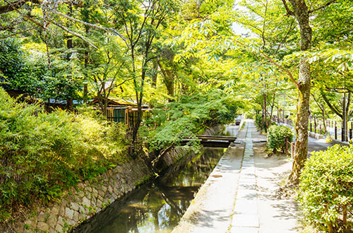 philosophers-walk-kyoto-japan