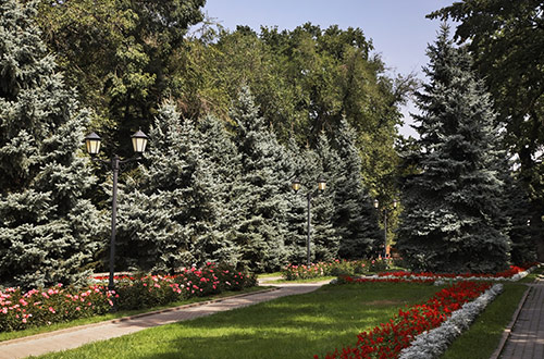 panfilov-park-almaty-kazakhstan