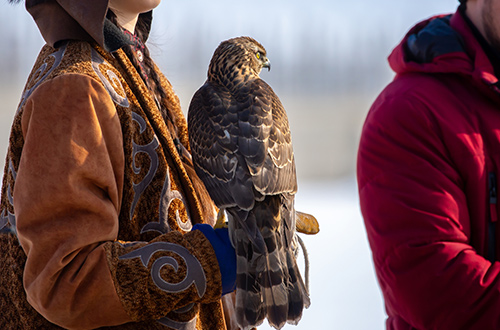 eagle-hunting