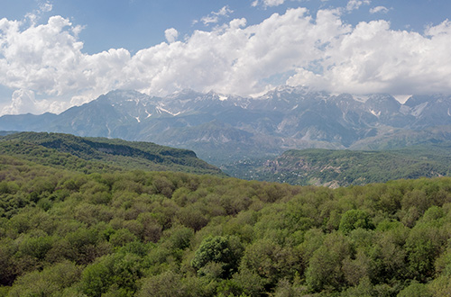 walnut-forest-arslanbob-kyrgyzstan