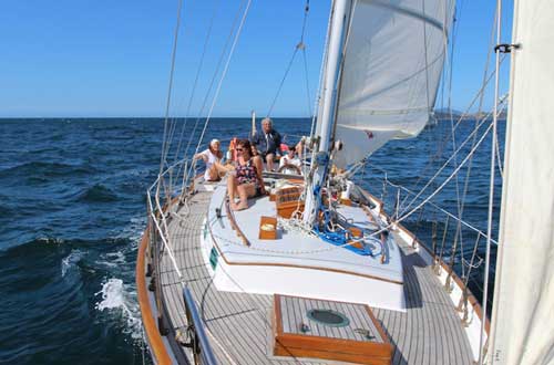 Bay-of-islands-day-yacht-sailing-adventures-Vigilant-charters-4