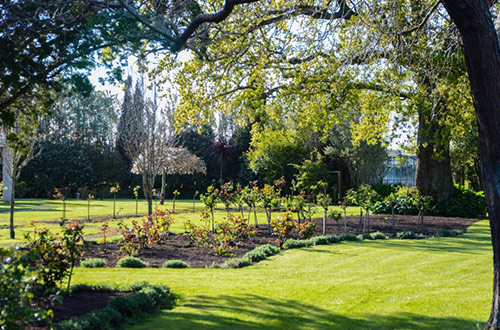 mangapapa-hotel-gardens