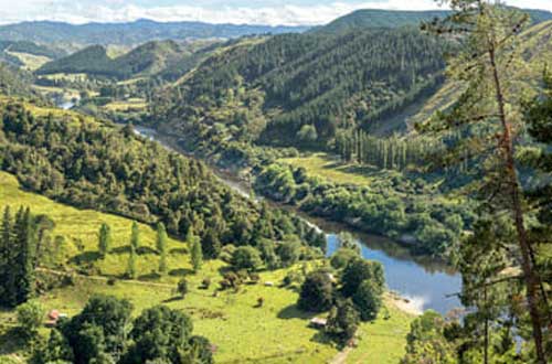 whanganui-river-landscape