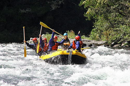 guest-kayaking