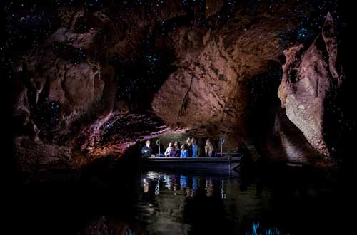 te-anau-glow-worm-caves-tour-new-zealand