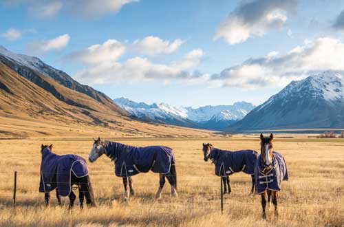 the-lindis-ahuriri-wanaka-new-zealand-horses-in-paddock
