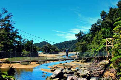 abel-tasman-coast-walk-swing-bridge-new-zealand
