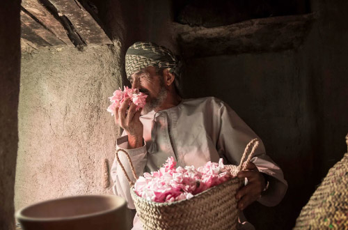 the-rose-water-of-al-jabal-al-akhdar