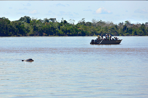 aqua-nera-amazon-river-skiff-to-excursion-wildlife
