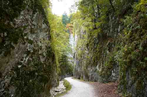 hiking-trail-romania-europe