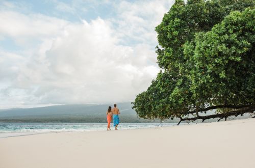 sinalei-resort-beach-samoa-couple-stroll