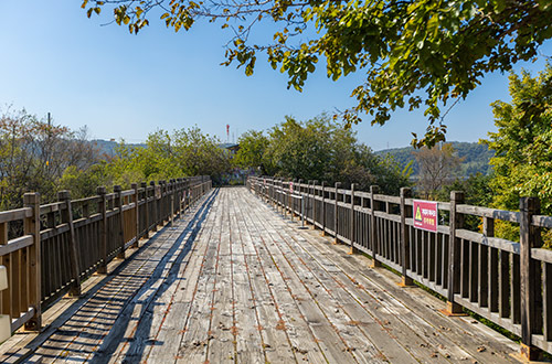 historical-wooden-bridge-dmz-south-korea