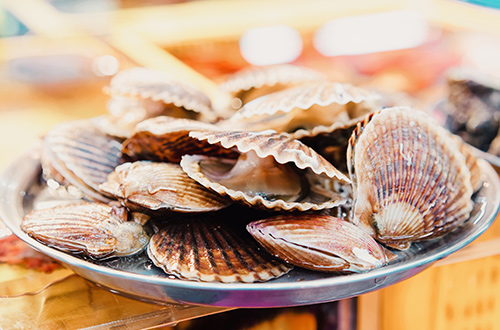 sale-fresh-clams-jagalchi-famous-fish-market-busan-south-korea