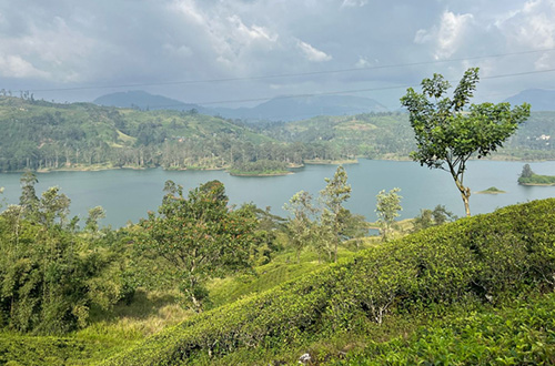 castlereagh-reservoir-hatton-sri-lanka-view