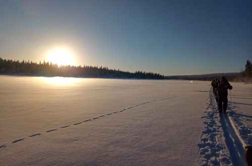 sweden-arctic-circle-snowshoeing-hiker-walking-on-the-snow