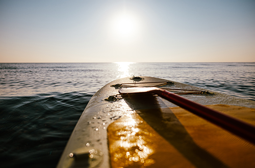 paddleboard
