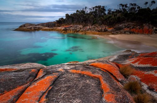 trousers-point-flinders-island-tasmania-australia-beach