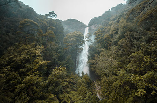 Montezuma-Falls-photo-by-pierre-destribats-takayna-tarkine