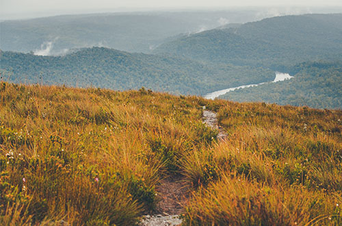 takayna-tarkine-tasmania/mt-donaldson-track-takayna-tarkine-credit-by-flow-mountain-bike