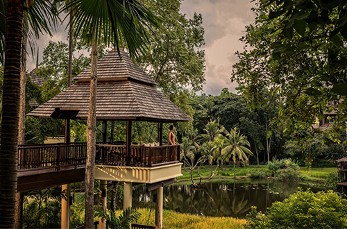 four-seasons-resort-chiang-mai-thailand-lily-pond