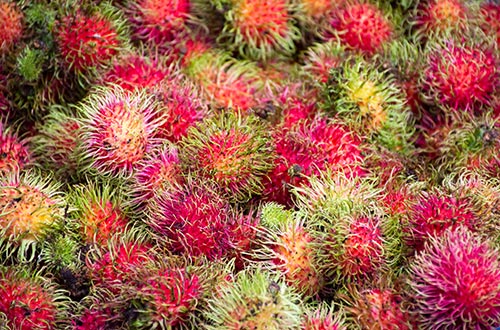 rambutan-shutterstock1214099905