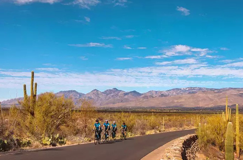 saguaro-cycling-adventure