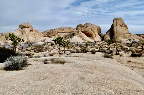 joshua-tree-rocks-boulders-palm-springs-coachella-california-usa-hiker
