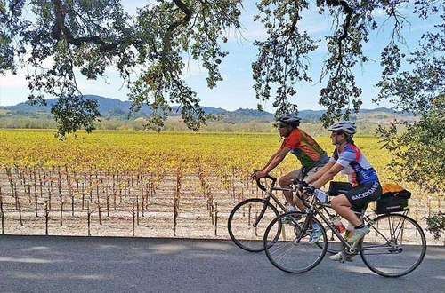 scenery-cycling-through-vineyards