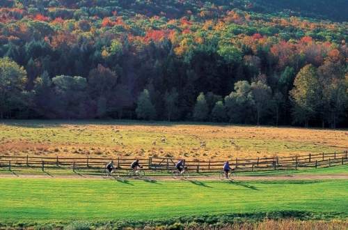 bikers-forest-quebec-canada