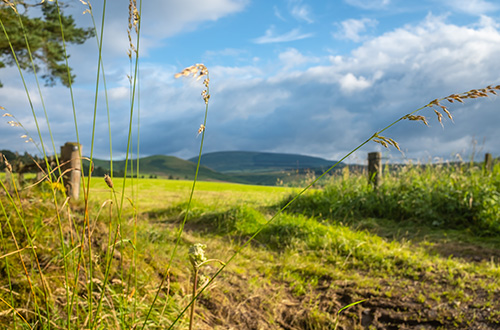 scottish-borders-scotland-united-kingdom-shutterstock1798976113