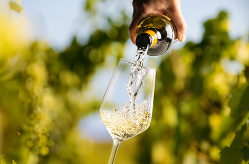 wine-tasting