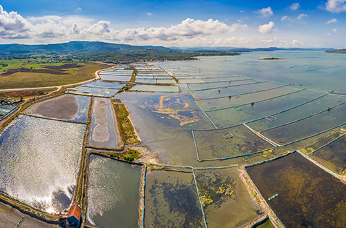 o-loan-lagoon-phu-yen-vietnam