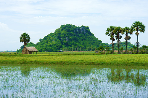 village-mekong-delta-vietnam-mountain