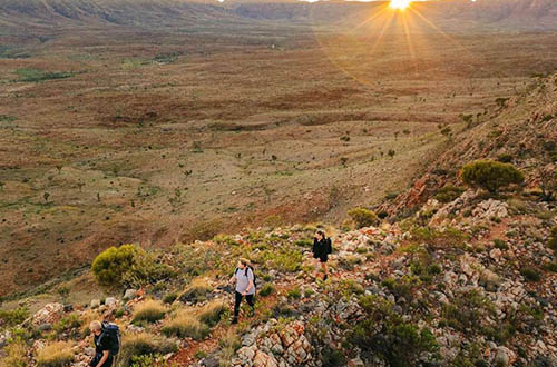 larapinta-signature-walk-hike