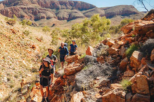 larapinta-signature-walk-hiking