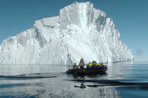 south-georgia-falkland-islands-antartica-cruise-whale-watching