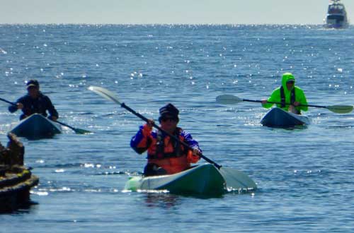 Tasmania-australia-cruise-Fortescue-kayaking