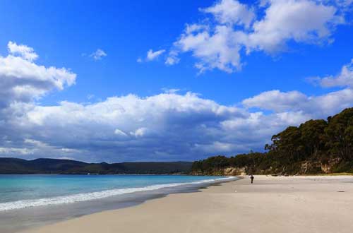 Tasmania-australia-cruise-beach-adventure-bay-bruny-island