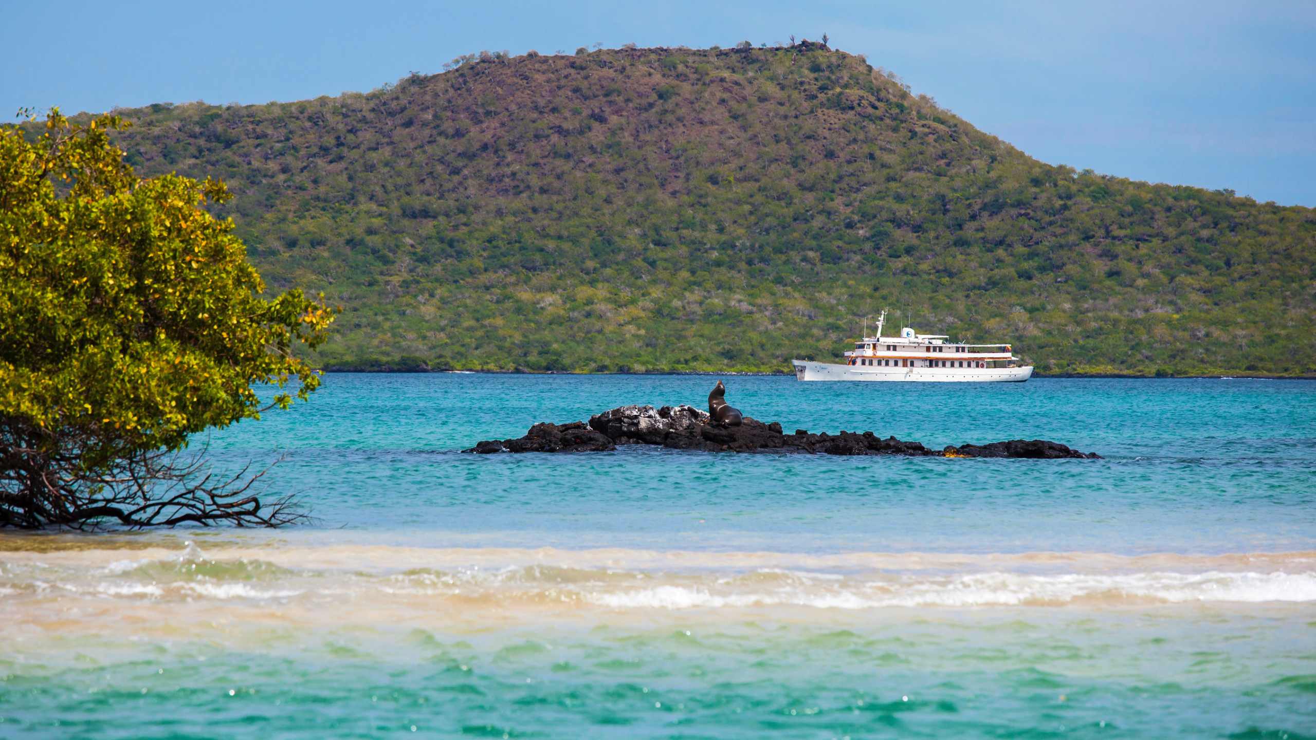 grace-yacht-exterior-views-seal-beach-galapagos-cruise
