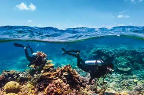 kimberley-western-australia-ashmore-reef-diving
