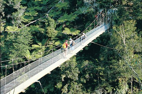 able-tasman-walk-new-zealand-suspension-bridge