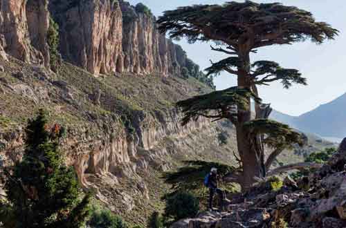 morocco-walk-ifrane-national-park-hike