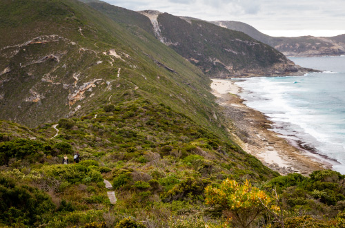 best-of-albany-coast-walk-western-australia-coastal-trail-bald-head