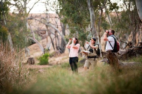 Arkaba-Walk-flinders-ranges-south-australia-luxury-walking-birdwatching