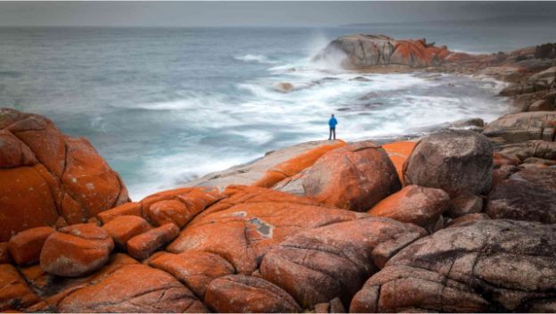 bay-of-fires-walk-east-coast-tasmania-australia-hiker-view-linchen-orange-boulders-rocks-beach