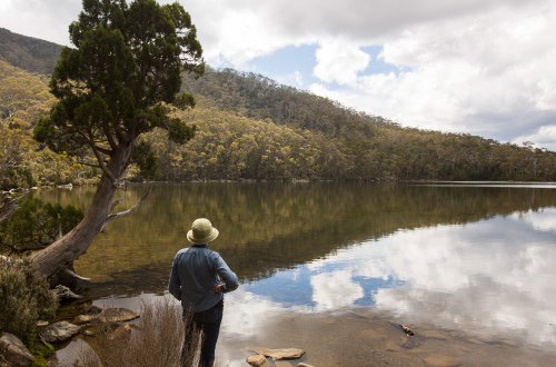 tasmania-walk-Lake-Dobson-mt-field-national-park