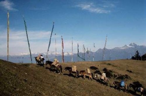 Bhuthan-luxury-trekking-Uma-Paro-Trek-Ponies