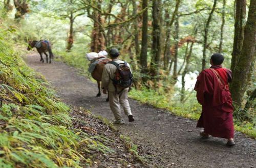 luxury-bhutan-trekking-walking
